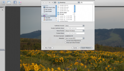 Screen shot 2011-06-06 at 12.33.54 PM.png