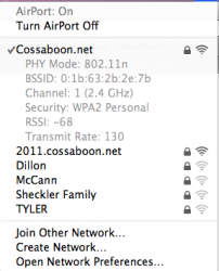 Screen shot 2011-06-15 at 11.32.04 AM.png