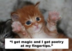 magic and poetry.jpg