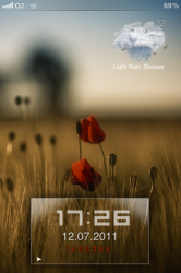 IMG_0306.PNG