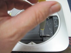 IMG_1137small.jpg