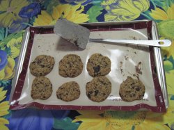 IMG_1139small.jpg