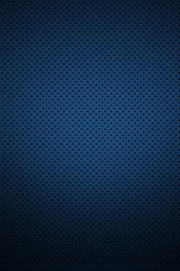 Blue Perforated.JPG