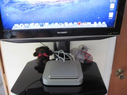 IMG_1281small.jpg