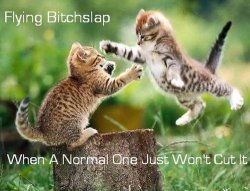 flying bitchslap.jpg