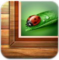 icon@2x2.png