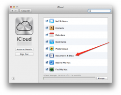 icloud_prefs.png