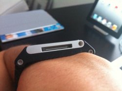 IMG_0382.jpg