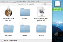 Lion USB install2.png