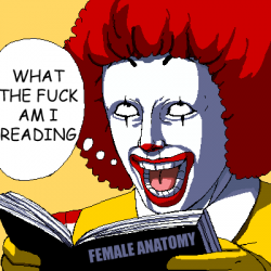 2rz2xxl.png