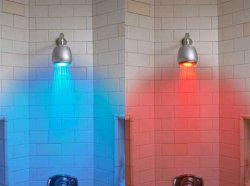 ledshower.jpg