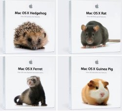 alternate-mac-os-x-names.jpeg