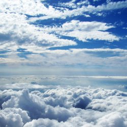 InFlight2.jpg
