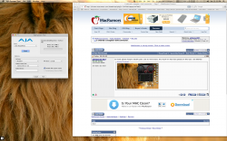 Screen Shot 2012-03-10 at 12.52.48 PM.png