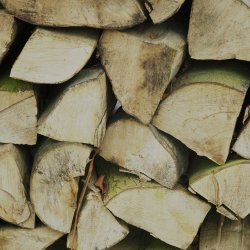 Logs.jpg