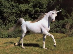 unicorn.jpg