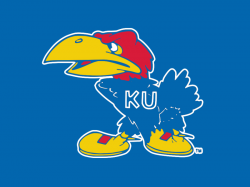 41hawk.png