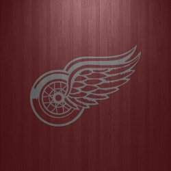 redwings1.jpg