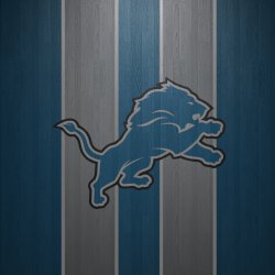 lions2.jpg