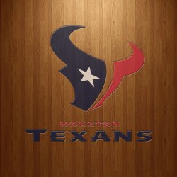 texans1.jpg