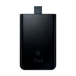 apple ipod case .jpg