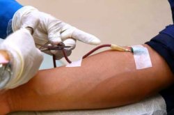 iStock_blood-donor-web.jpg