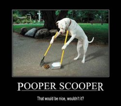 Pooper+Scooper.jpg