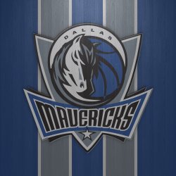 mavs4.jpg