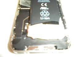 DSCN0248.JPG
