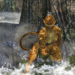 Jungle-Kitty.jpg