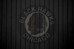 Blackhawks.jpg