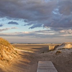 Jersey Shore.jpg