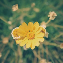 97.jpg