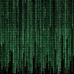 matrix-wall.jpg