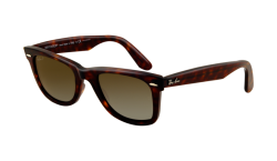 Wayfarer Polarized.png