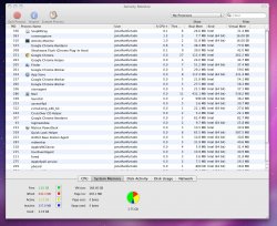 Activity monitor.jpg