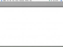 safari.jpg