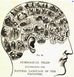 Phrenology.png
