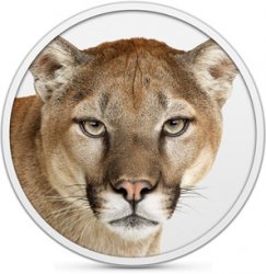 mountain-lion1.jpg