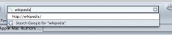 netscape-google.jpg