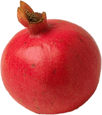 pomegranate.png