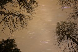 Star Trails copy.jpg