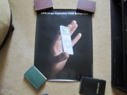 IMG_4582.jpeg