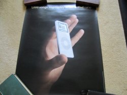 IMG_4586.jpeg