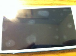 IMG_3832.jpeg