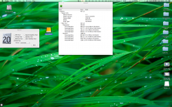 Screen Shot 2012-10-27 at 1.39.35 PM.png