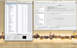 Screen Shot 2012-10-28 at 3.27.13 PM.png