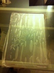IMG_0422.jpg