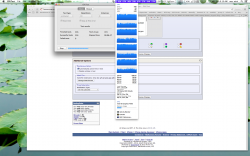 Screen Shot 2012-11-04 at 9.10.56 AM.png