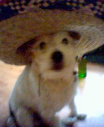 sombrero.jpg